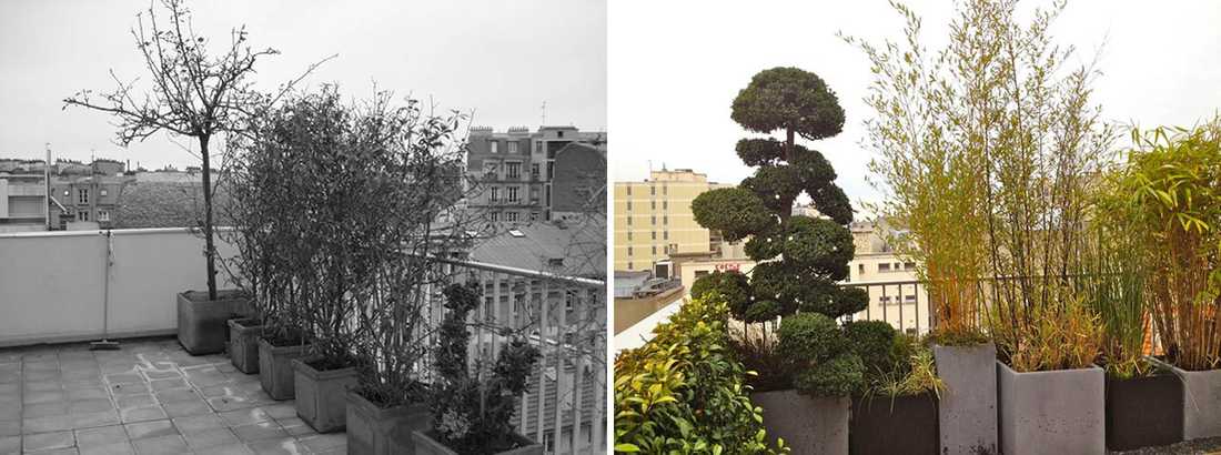 Avant - Après : Aménagement paysagé d'une terrasse avec vue à Nantes